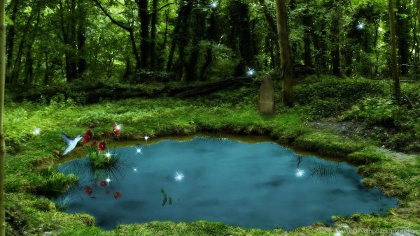 Пруд в лесу