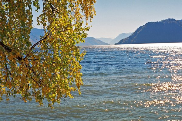 Телецкое озеро Алтай осень