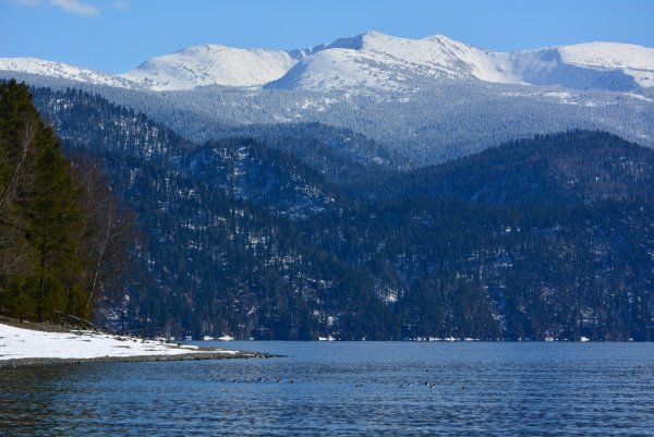 Алтайский заповедник Телецкое озеро