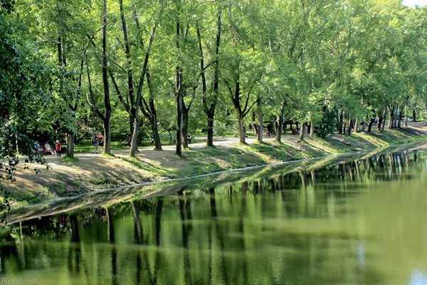 Парк с аллеей в Екатеринбурге