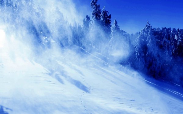 Снежная вьюга