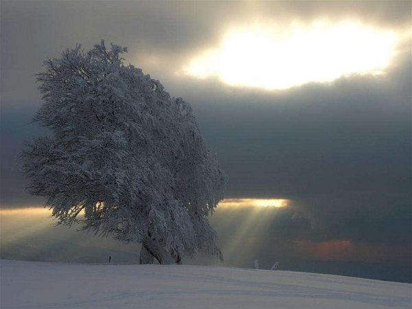 Ветер зимой