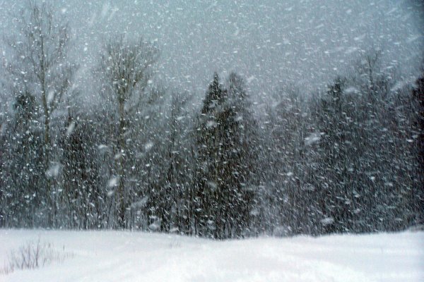 Буран вьюга