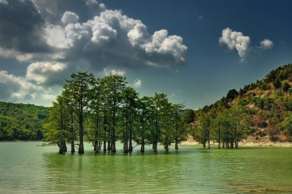 Кипарисовое озеро в Анапе