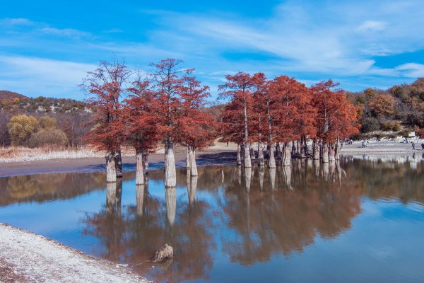 Кипарисовое озеро Сукко