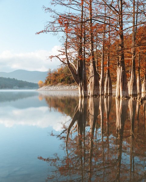 Кипарисовое озеро в Анапе