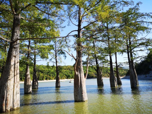 Кипарисовое озеро Сукко