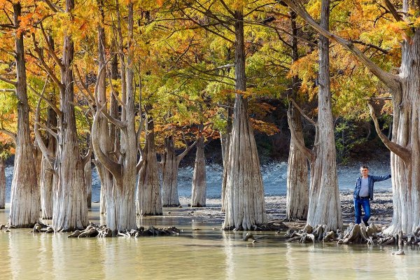 Кипарисовое море Анапа