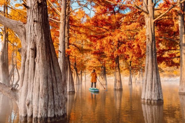 Кипарисовое озеро Сукко