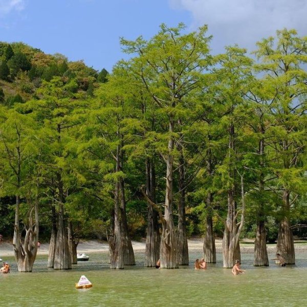 Кипарисовое озеро в Анапе 2021