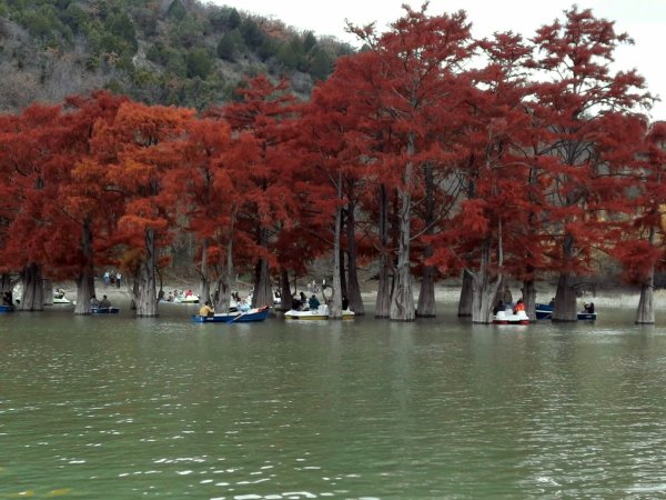 Сукко Кипарисовое озеро 2022