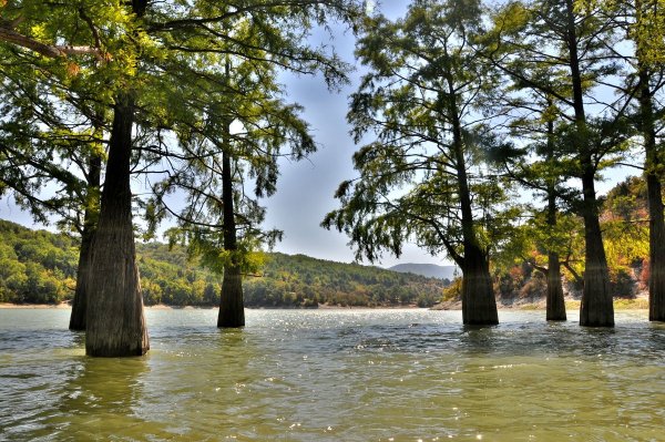 Сукко озеро с кипарисами