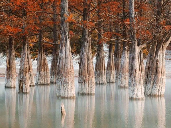 Сукко озеро с кипарисами