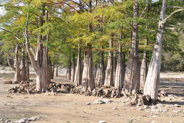 Кипарисовое озеро Сукко