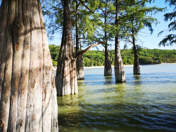 Сукко озеро с кипарисами