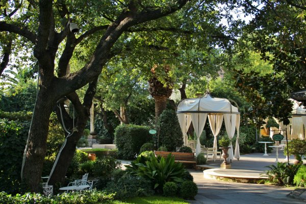 Италии кусты