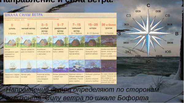 Направление и сила ветра