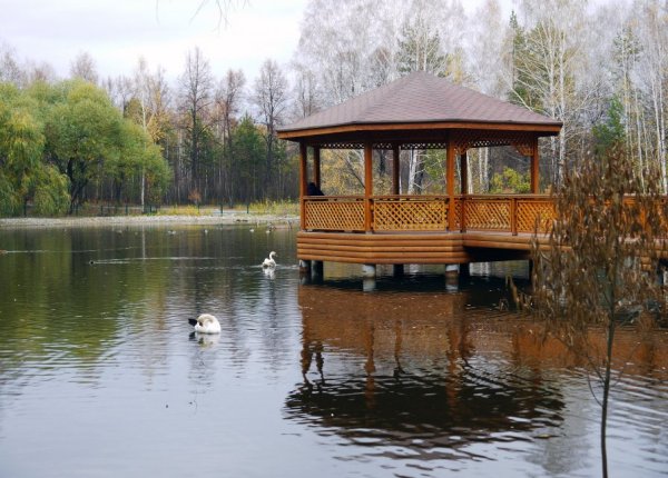Булатниковский пруд беседки