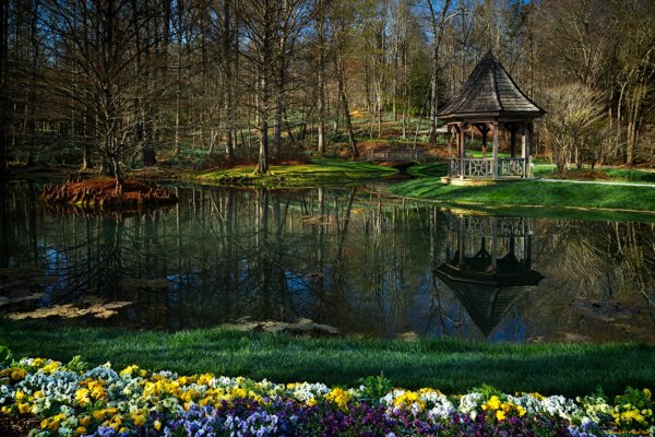 Пруд с утками беседка парк Кузьминки