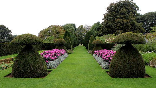 Парк дармера в Англии