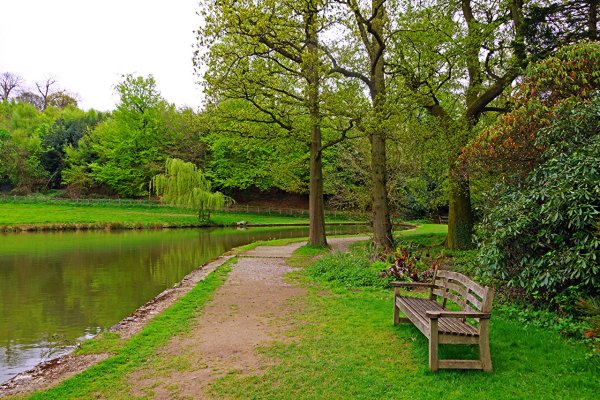 Троп парк Англия