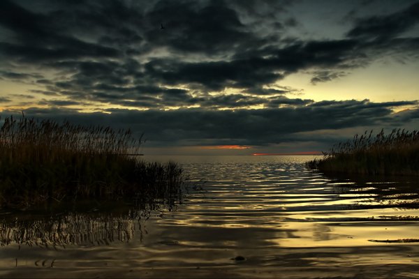 Сумерки пейзаж