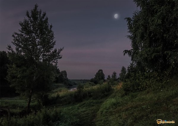Поляна вечером в сумерках
