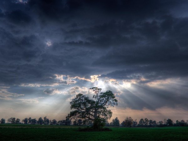 Солнце перед грозой