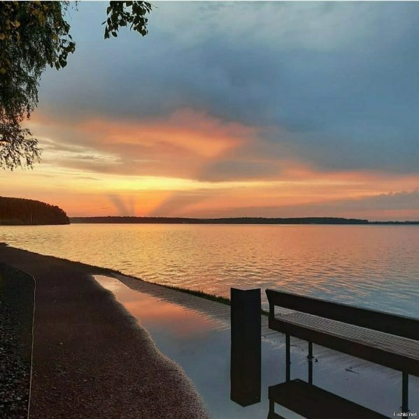 Озеро Сенеж Солнечногорск