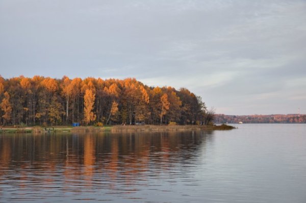 Оз Сенеж Солнечногорск