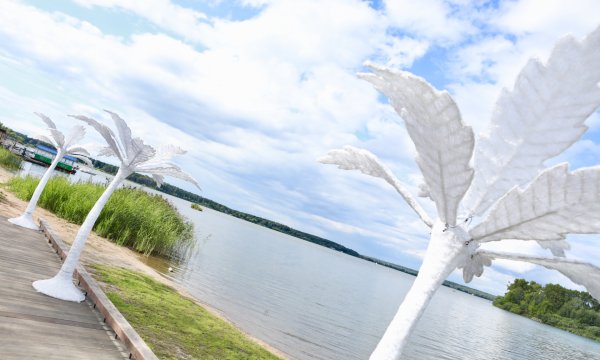 Озеро Сенеж Солнечногорск