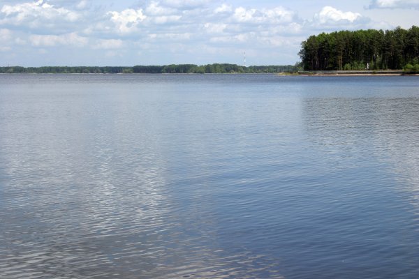 Сенежское водохранилище Солнечногорск