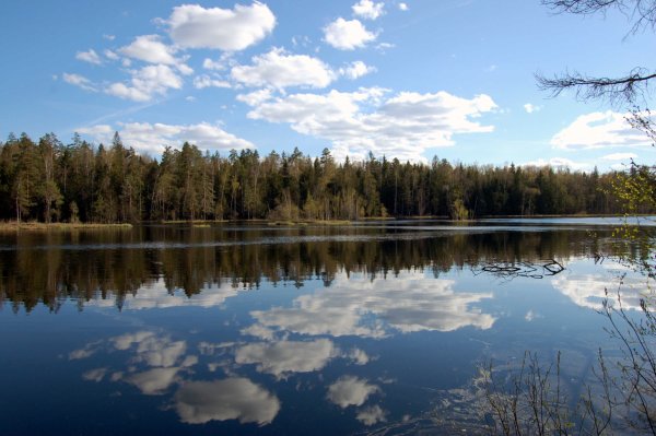 Озеро Сенеж