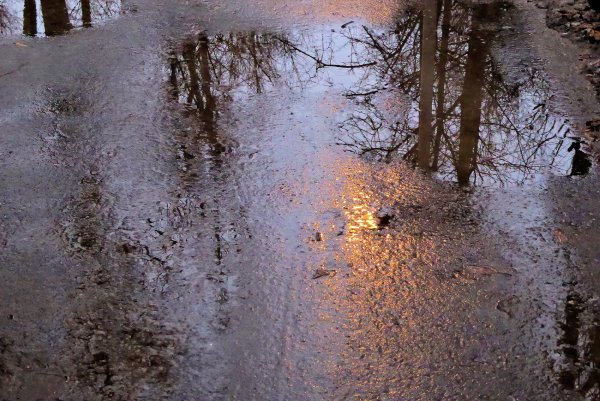 Зимняя слякоть