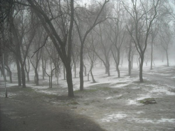 Снег слякоть