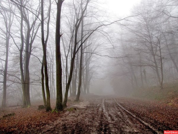 Поздняя осень слякоть