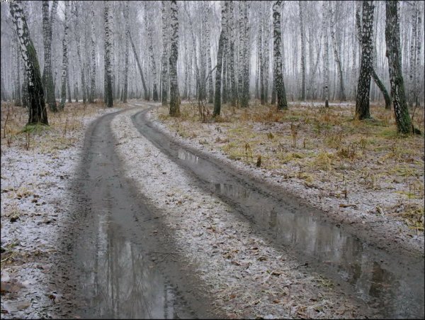 Поздняя осень слякоть