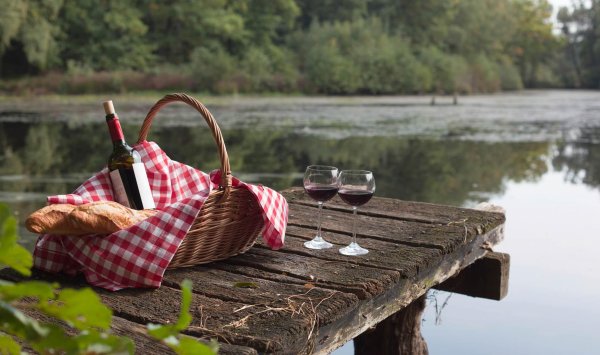 Пикник на берегу реки
