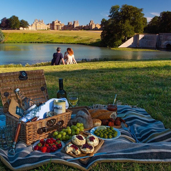 Пикник на берегу озера