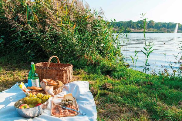 Пикник у пруда