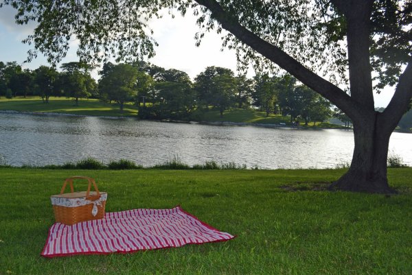 Пикник на берегу реки