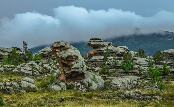 Баянаульская Родниковая