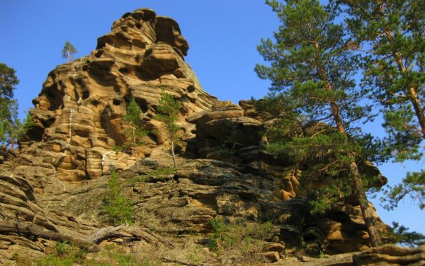 Баянаул Флора