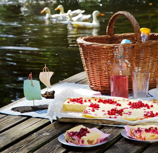 Пикник на природе летом