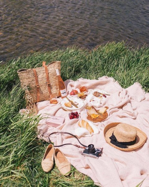 Пикник у озера