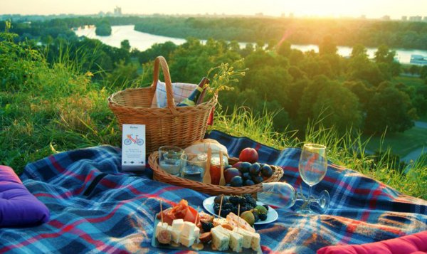 Летний пикник на природе