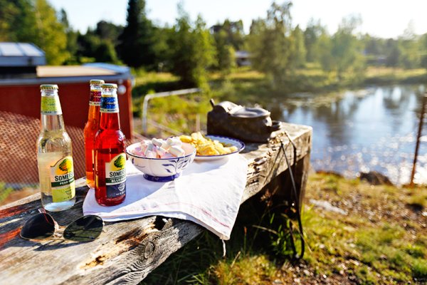 Пикник на берегу реки