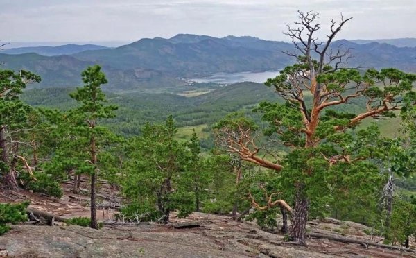 АКБЕТ Баянаул