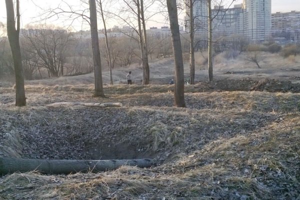 Поселок кленово Полежаевский парк