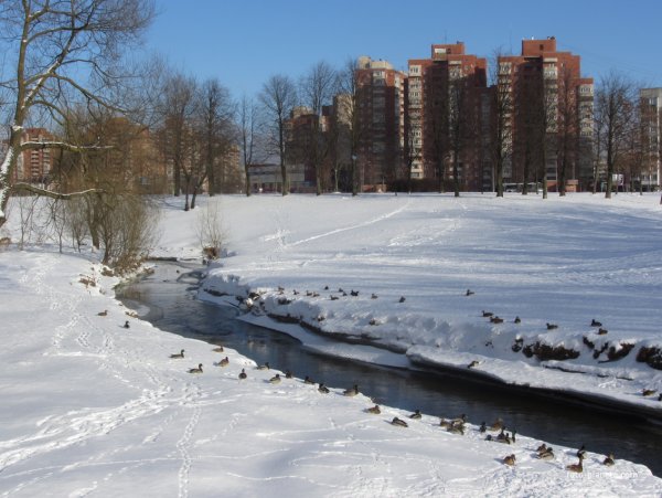 Река Дудергофка Полежаевский парк